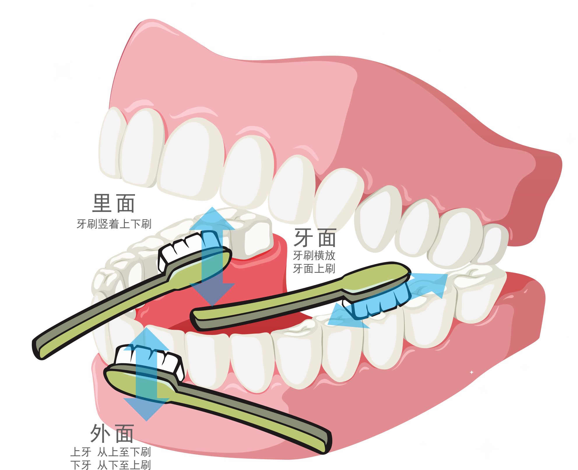 关爱口腔清洁牙齿插画图片素材免费下载 - 觅知网